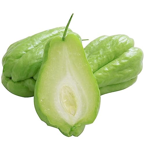 Chayote Samen 20 Stück - Gemüsepflanzen Für Garten Mit Vitaminen
