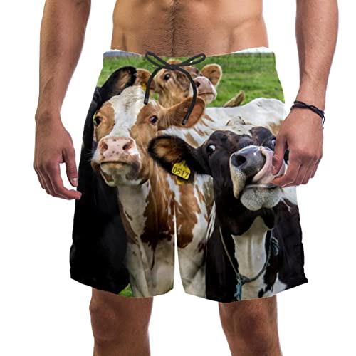 Short de plage hommes pour l'été maillots de bain imprimé vache confort