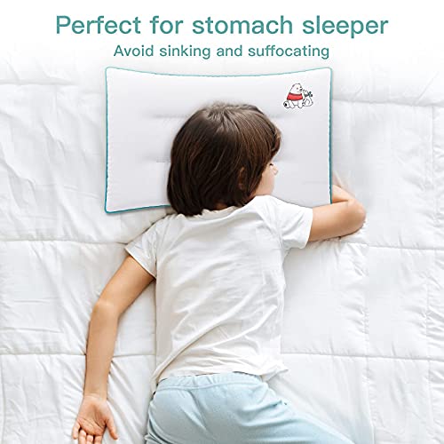 Moonlightfamily Toddler Pillow, 16X22, Youth Pillows For Side & Back Sleeping, Safe & Ideal For Car Rides, School Nap, Soft Memorelle Microfiber, Machine Washable #TOP1
