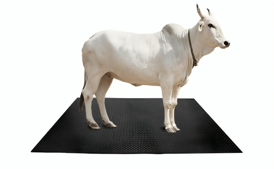 MRF Cow Mat 8 x 5 Feet, 30 mm Thick Waterproof and Easy to Clean Pure EVA Rubber Mat