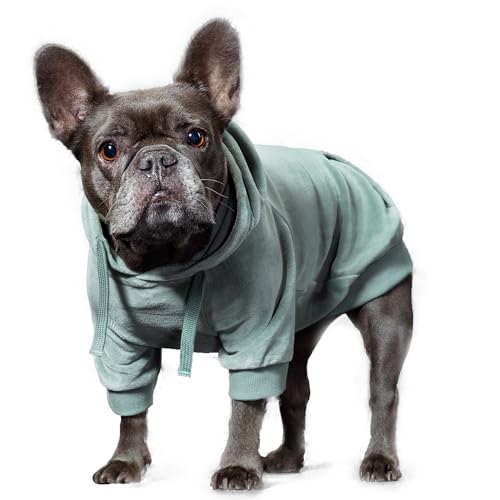 Organic-Cotton-Velour-Dog-Hoodie-Pet-Coat-for-Small-Medium-and-Large-Dogs-Sage-XX-Small Organic Cotton Velour Dog Hoodie Pet Coat for Small Medium and Large Dogs Sage XX Small