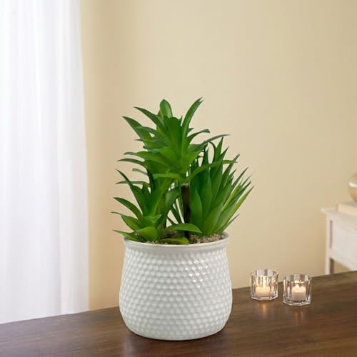Image of Artificial Succulent Plant in White Ceramic Pot, Realistic Faux Greenery for Home Office Desk Tabletop Decor, Low Maintenance Long-Lasting Indoor Decorative Plant (B)