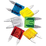 Tools (WLMW5369) 120 Piece Mini Fuse Assortment