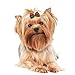 PET SHOW 20pcs Christmas Dog Hair Bows with Rubber Bands for Small Medium Dogs Xmas Holiday Puppies Cats Kittens Rabbits Topknot Grooming Costumes Hair Accessories