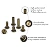 90 Sets Chicago Screws Assorted Kit 5 Sizes Bronze Leather Rivets 5mm Screw Rivets Flat Fillister Book Binding Posts Nail Rivet Chicago Bolts for DIY Leather Craft Bookbinding (6,10,12,15,18mm) #2