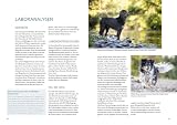 Das Zuchtbuch: So gelingt das Abenteuer Zucht (Praxiswissen Hund)