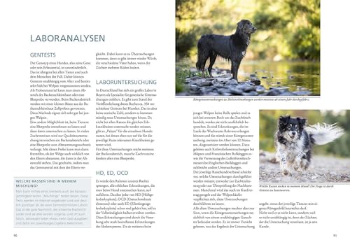 Das Zuchtbuch: So gelingt das Abenteuer Zucht (Praxiswissen Hund)