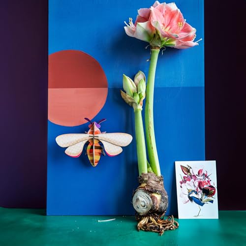 Abeille 3D STUDIO ROOF cadeau idéal déco éco-responsable - 6