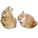 Basuo-9Q Easter Bunny Plush Figurine - 2 Piece Mini Realistic Rabbit Staffy for Spring Basket Fillers, Home Decoration, Photoshoot Props, (Orange)