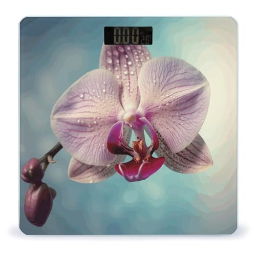 Báscula digital de baño con pantalla LED clara y vidrio templado