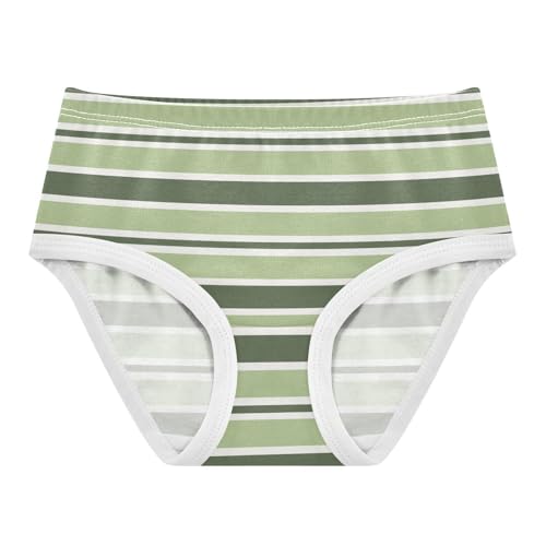 Green Stripe Toddler Girls's Underwear 2T 2300868