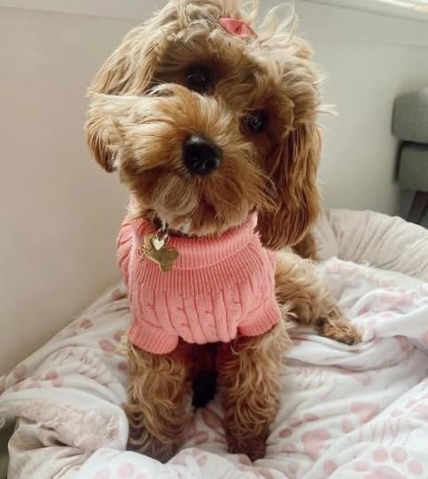 Personalized Dog Pink Paw Print Blanket With Pets Name