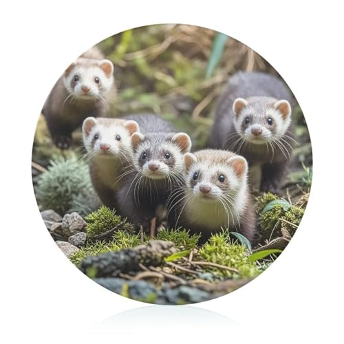 Ferrets Tempered Glass Round Cutting Board