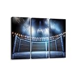 3 Piece Canvas Wall Art Prints Picture MMA cage Side scene view under lights Fighting Championship Fight Framed Wall Painting Modern Artwork Poster Home Decor for Living Room Office Ready to Hang