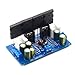 200W Mono Power Amplifier Board High Power Digital Power Amp Board Module Accessory