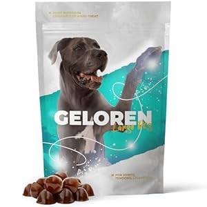 Geloren HA Large Dog Supplement 420 g