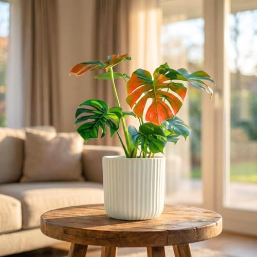 Image of Yo Green Modern Ribbed Ceramic Planter Pot | White Matte Indoor Plant Pot for Home, Office & Living Room Decor (Modern Ribbed-4 Inch-Yellow)