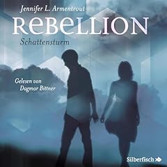 『Schattensturm』のカバーアート