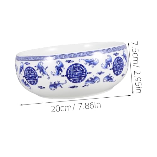 Pot de fleurs céramique décoratif premium pour maison