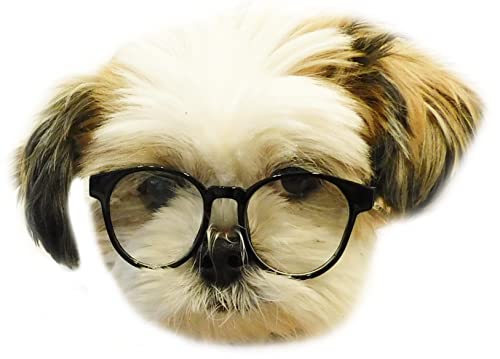 G015 Dog Cat Pet Round Costume Glasses for Small Breeds up to 15lbs (Panto Black-Clear Lens)