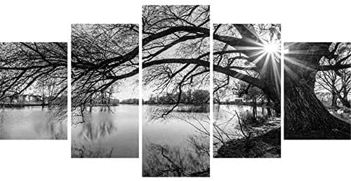 Miniatura 2 de Kit de arte completo de diamantes 5D para bricolaje, árbol blanco y negro, superficie de lago, 5 piezas, kit de arte multidiamante para adultos,