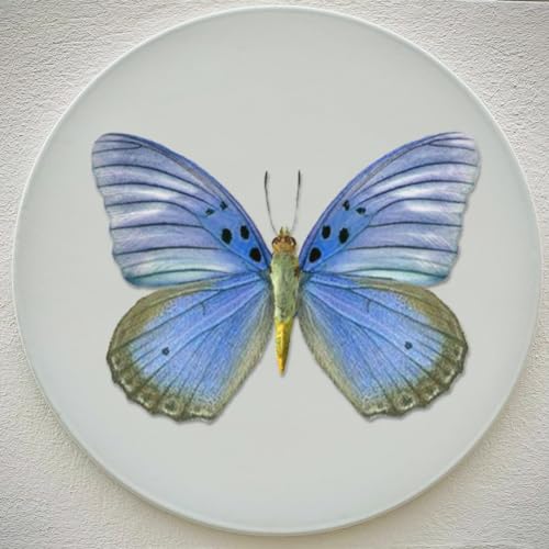 Calcomanías de transferencia de mariposa impermeables para renovar muebles gastados sin pintar 5