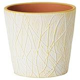 Annastore