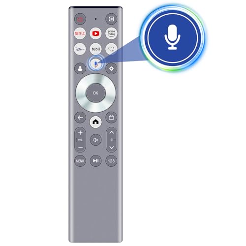 Télécommande ERF6E80H pour Hisense Smart TV 55U6N 65U7N 75U8N