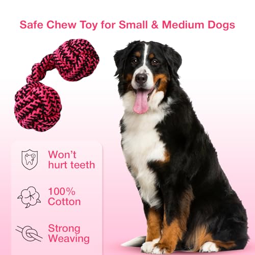Image of Knotted Dumbbell Rope for Dogs and Pets |Durable Chew Cotton Knotted Dumbbell Shape Tug Rope Toy |Chewing and Teething for Dogs and Puppies Woven Rope Dog Toy, 23 cm (Red)
