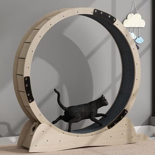Large Cat Wheel for Indoor Cats, Outer Diameter 120 cm, Cat Wheel with