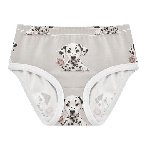 Cute Dalmatian Puppies Dogs Spots Toddlers Underwear Floral 2t Cotton Little Girl Panties Artistic Briefs Kids Undies