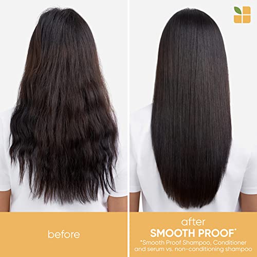Biolage Smooth Proof Shampoo | Cleanses, Smooths & Controls Frizz | Paraben-Free | For Frizzy Hair #TOP1
