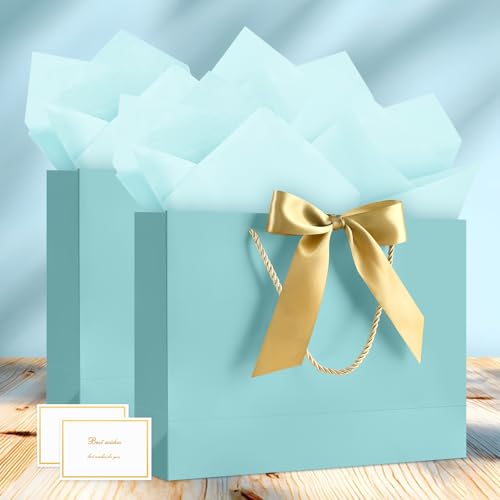 Image of JMANNI Gift Bags with Handles, 13 inch Medium Gift Bag for Presents, 1 Pcs Bags with 2 Tissue Paper and 1 Cards for Graduation Baby Shower Wedding Fathers Day Mother's Day Birthday Party (Baby Blue