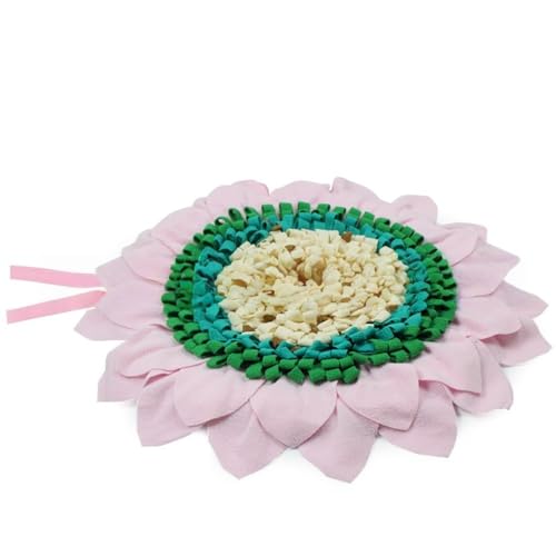 BtcFu m[Y[N}bg - Xibt}bg Hh~ }bgkoP pY͎Rȍ̉aXLサ H΍ ^s XgX (sN)