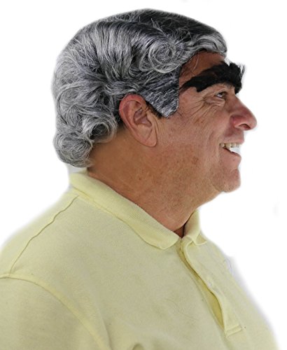 City Costume Wigs Mayor Christmas Wig and Eyebrow Who Set