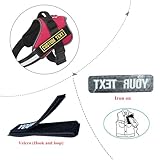 2 Stück personalisierter Namenspatch Namensaufnäher, Hundegeschirr-Aufnäher, Bestickte Militär-Namensschilder, Patches für Jacke, Rucksack, Weste, Aufbügeln/Klettverschluss