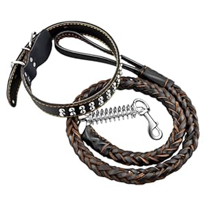 4FT Leather Dog Leash and Collar Set for Dog,Full Grain Leather Collar and Strong Hand-Woven Braided Leash,Sturdy Dog Training Leash for Walking,for Medium Heavy Duty and Large Dog