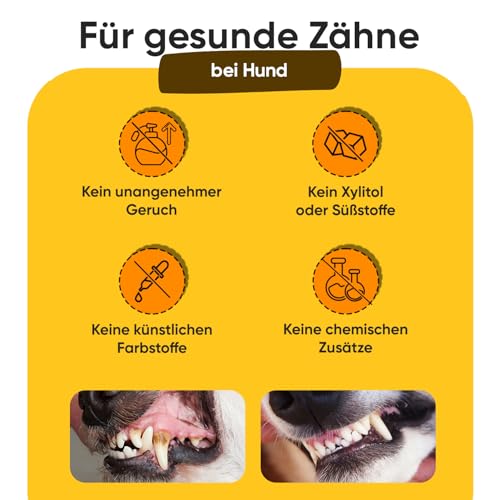 animigo 2X Hundezahnpasta (je 100g), 1x dreiköpfige Hundezahnbürste & 1x Fingerzahnbürste - Gegen Plaque & Zahnstein - Ohne Zuckerzusatz, künstliche Farbstoffe & Aromen - Ohne Fluorid oder Xylitol
