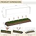 Golf Ball Display Case for 5 Golf Balls Holder Display Walnut Wood Base Acrylic Hole in One Golf Ball Case Display Uv Protection Golfball Stand Rack,Golf Office Decor Gifts for Men