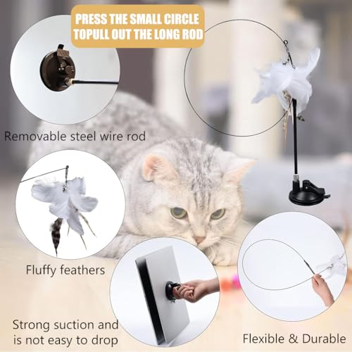 Image of Qpets Cat Teaser Wand Feather Suction Cup Interactive Indoor Felines | Interactive Play, Helps Engage Indoor Cats, Feather Attachment, Suction Cup Base, Flexible Wand
