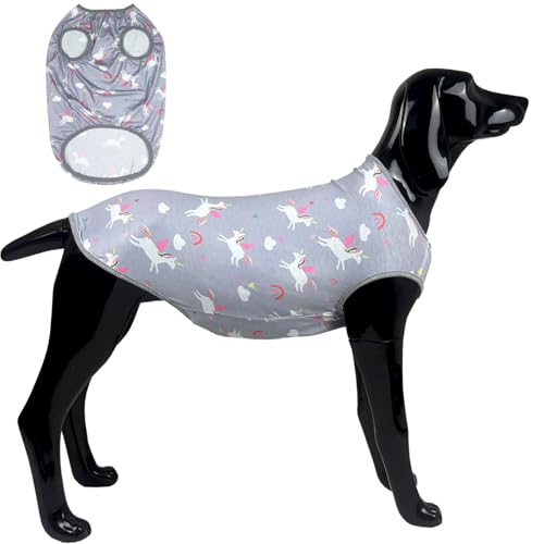 ^pD.E.E pVc ėpRbg p y ^Ngbv  rbO (VUnicornGrayA2XL)