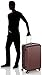 HAUPTSTADTKOFFER - Spree - Luggage Suitcase Hardside Spinner Trolley Expandable 75 cm TSA, Burgundy