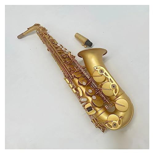 THE MARCATO ELKHART DELUXE アルトサックス ゴールド Amazon | ハイエンドマットゴールドアルトサックスEフラットトーン