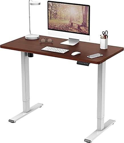 FLEXISPOT Electric Height Adjustable Standing Desk Sit Stand Desk Adjustable Desk Stand Up Desk with Memory Smart Pannel EF1 SERIES(120 * 60cm, Black Frame+Black Desktop)