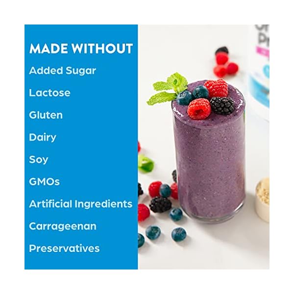 Orgain-Organic-Plant-Based-Protein-Superfoods-Powder-Vanilla-Bean-Vegan-Non-Dairy-Lactose-Free-No-Sugar-Added-Gluten-Free-Soy-Free-Non-GMO-202-lb Orgain Organic Protein + Superfoods Powder, Vanilla Bean - 21g of Protein, Vegan, Plant Based, 5g of Fiber, No Dairy, Gluten, Soy or Added Sugar, Non-GMO, 2.02lb