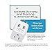 Ceptics Switzerland Travel Adapter Plug with Dual USB + Usa Input - Type J - Ultra Compact - Safe Grounded for Laptops, Cell Phones, Chargers, Camera and More (CTU-11A )