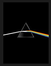 Download Pink Floyd their mortal remains Le livre officiel PDF