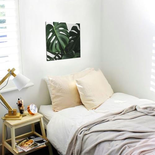 Impression Monstera de qualité : toile botanique moderne chic