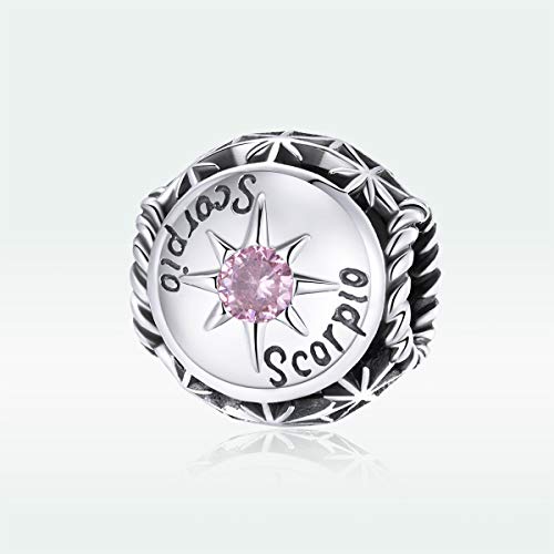 Image of 12 Constellation Charms 925 Sterling Silver Crystal Zircon Charms Family and Friends' Birthday Charm Birthstone Charms for Women Bracelets