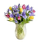 1800 Flowers – Fanciful Spring Tulips & Irises (Clear Vase Included) | Fresh Cut Spring Flowers for Delivery...